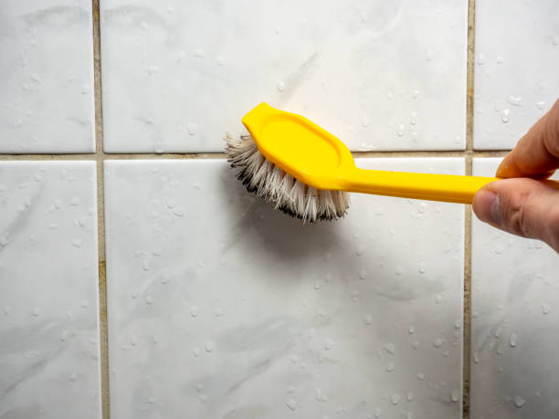 Reliable Herscher, IL Mold Removal Solutions