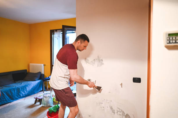 Best Mold Cleaning Services  in Herscher, IL